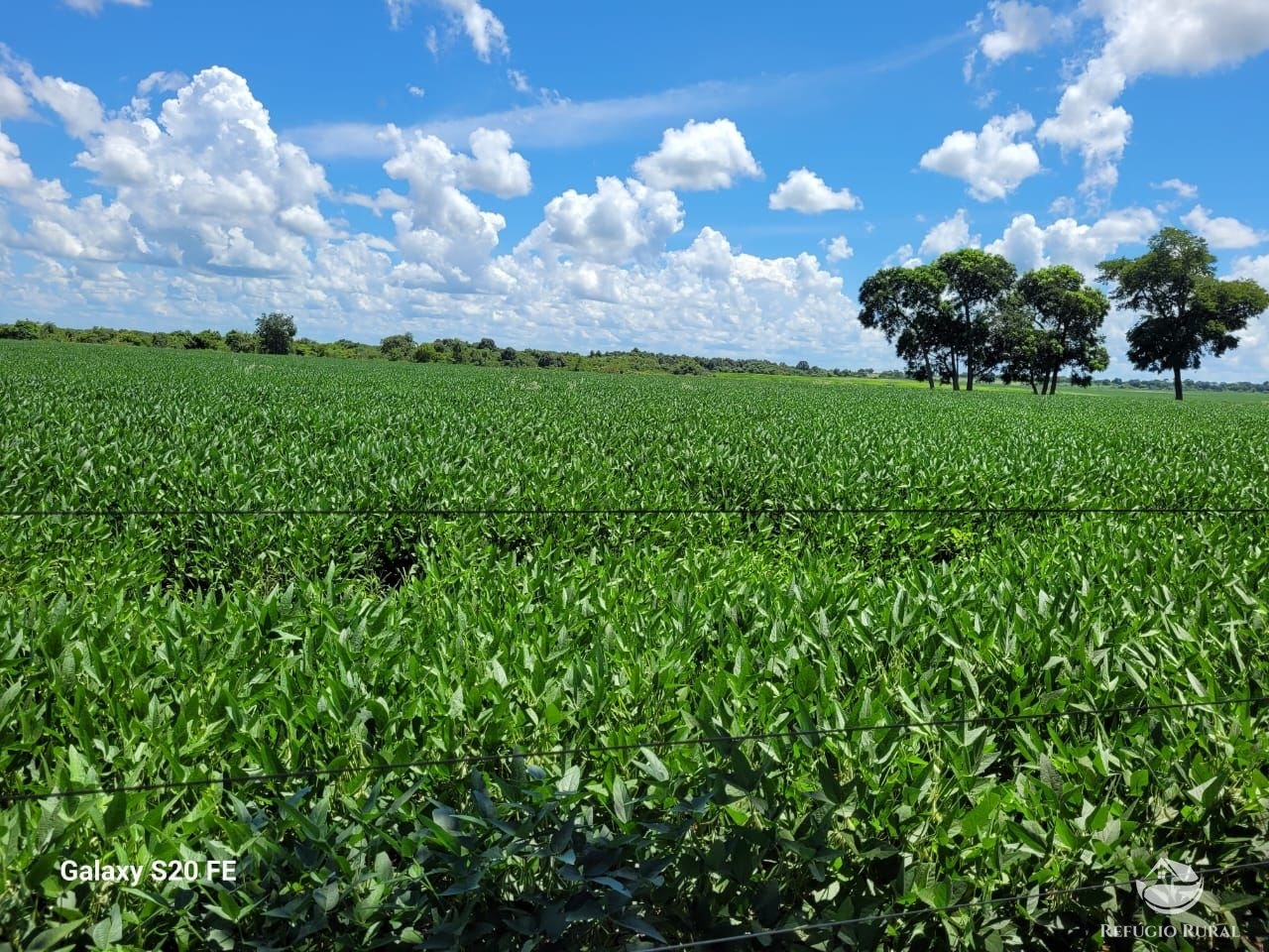 Fazenda à venda com 1 quarto, 9776800m² - Foto 4