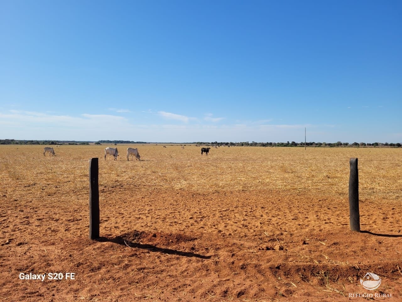 Fazenda à venda com 1 quarto, 9776800m² - Foto 8