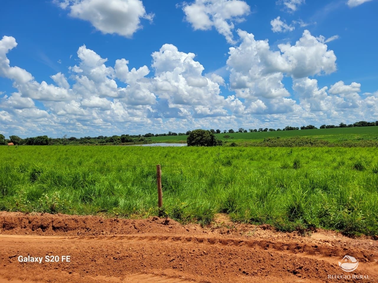 Fazenda à venda com 1 quarto, 9776800m² - Foto 7