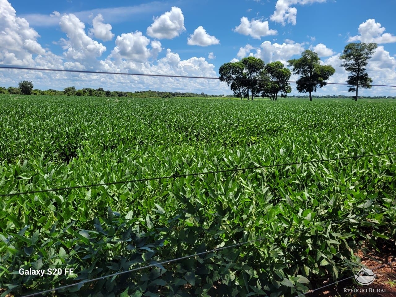 Fazenda à venda com 1 quarto, 9776800m² - Foto 1