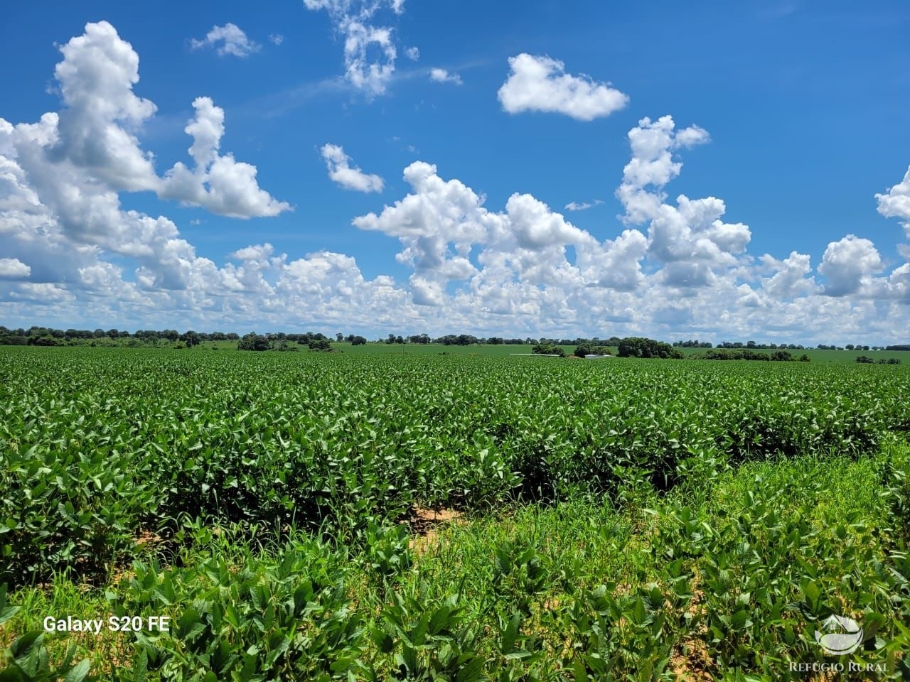 Fazenda à venda com 1 quarto, 9776800m² - Foto 3