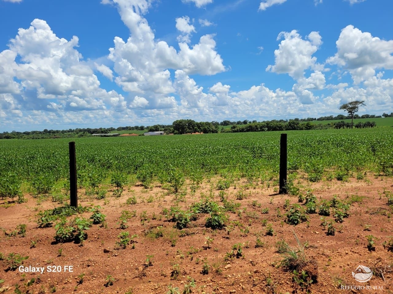 Fazenda à venda com 1 quarto, 9776800m² - Foto 5