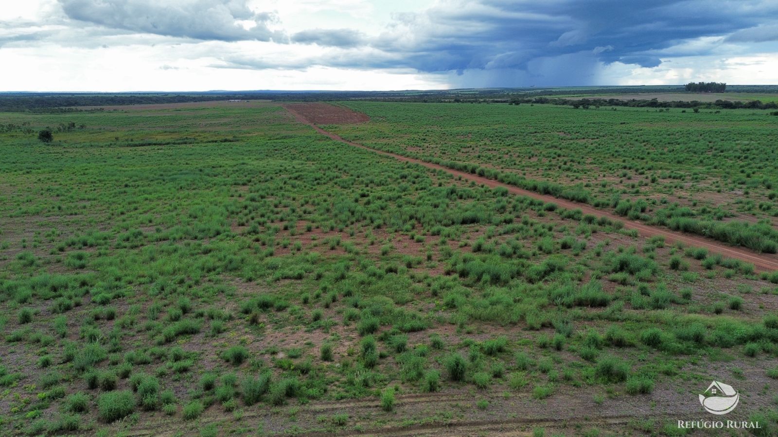 Fazenda à venda com 1 quarto, 11000000m² - Foto 3