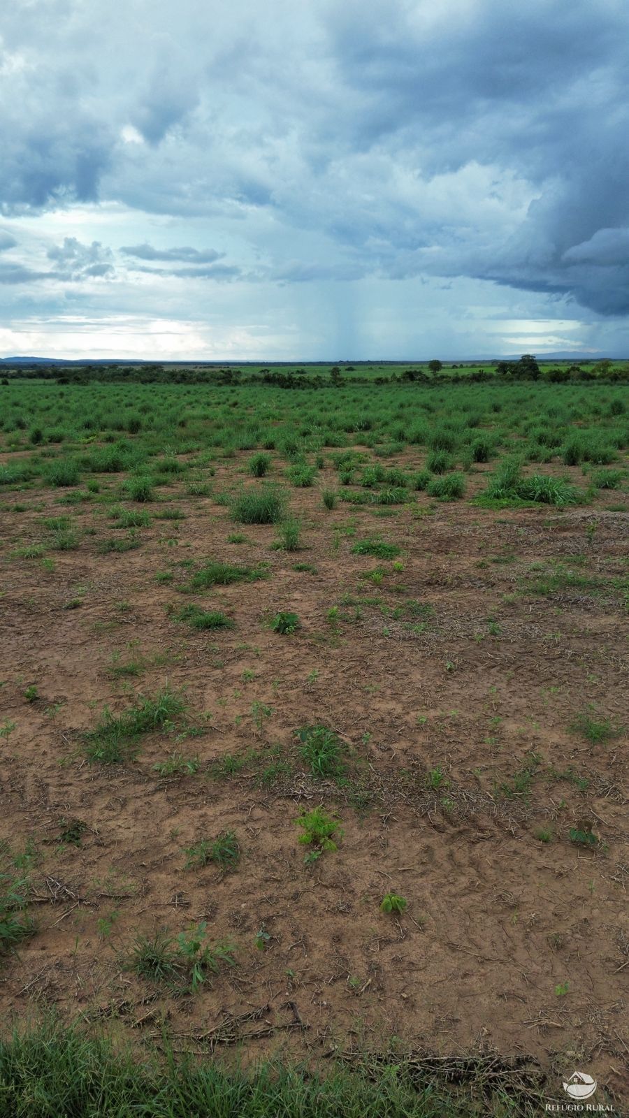 Fazenda à venda com 1 quarto, 11000000m² - Foto 4