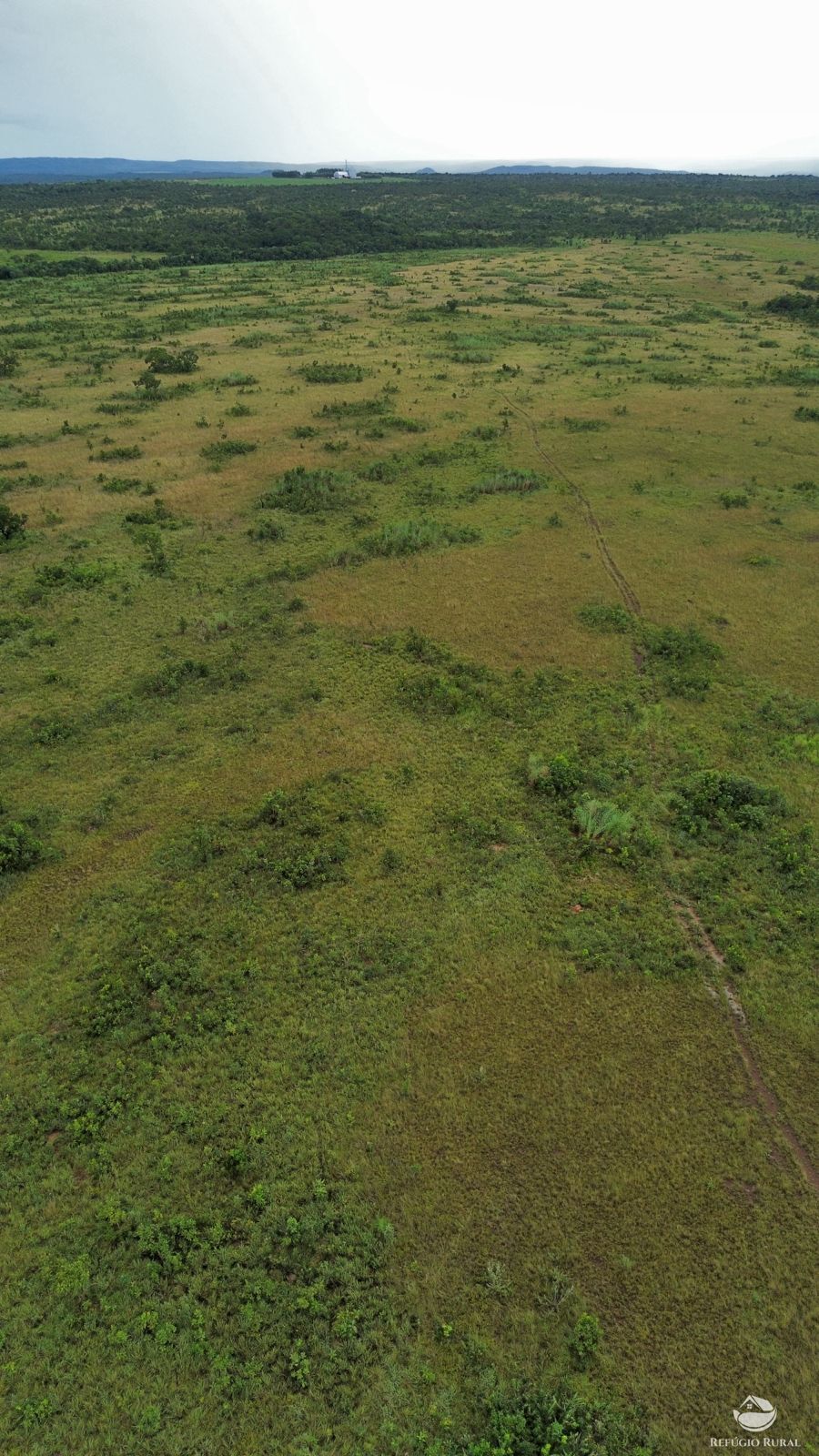 Fazenda à venda com 1 quarto, 11000000m² - Foto 14