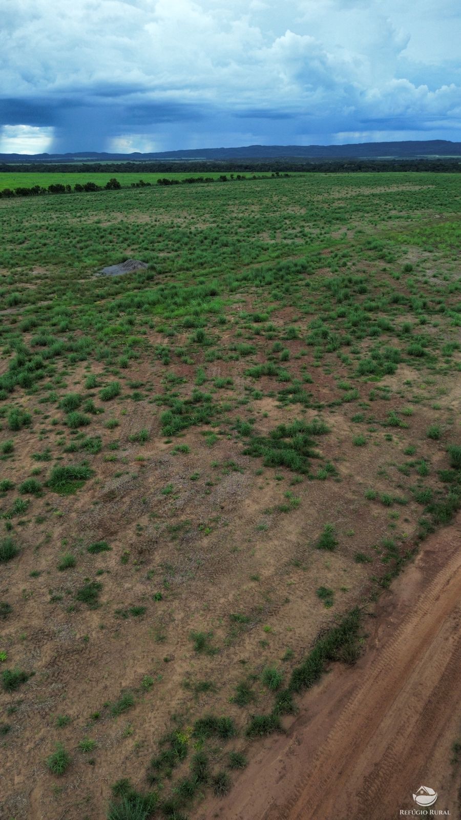 Fazenda à venda com 1 quarto, 11000000m² - Foto 10