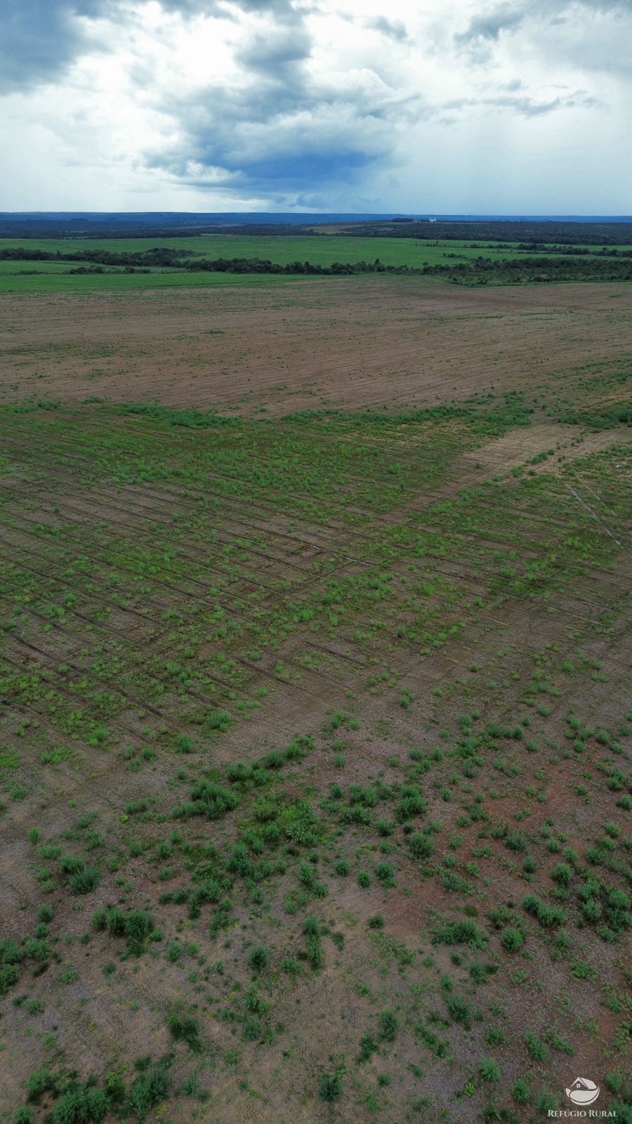 Fazenda à venda com 1 quarto, 11000000m² - Foto 9