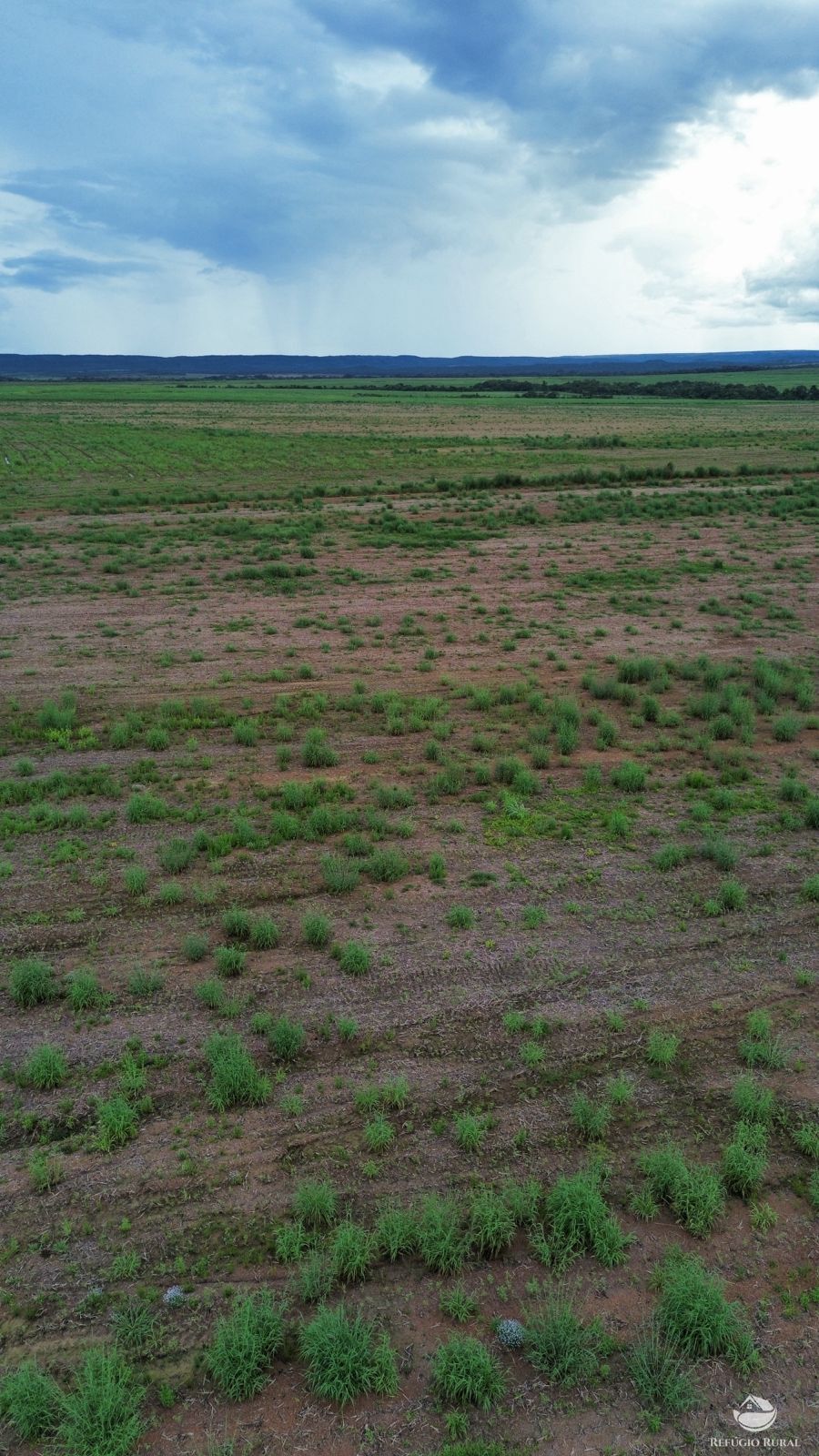 Fazenda à venda com 1 quarto, 11000000m² - Foto 7