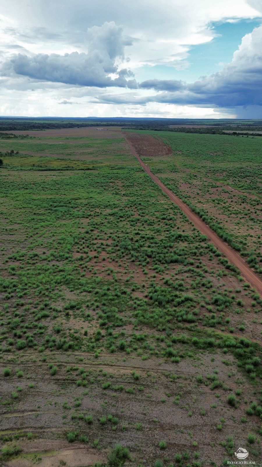 Fazenda à venda com 1 quarto, 11000000m² - Foto 8