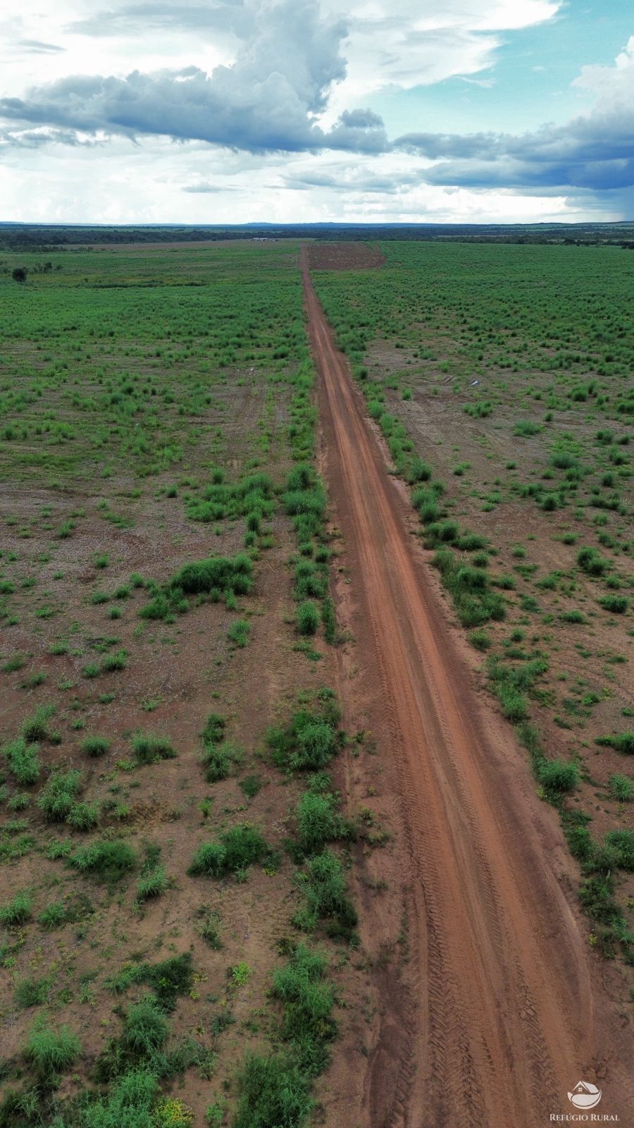 Fazenda à venda com 1 quarto, 11000000m² - Foto 11