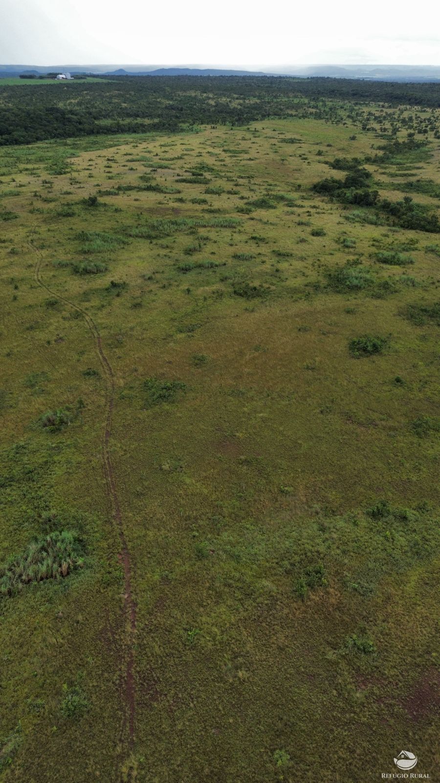 Fazenda à venda com 1 quarto, 11000000m² - Foto 13