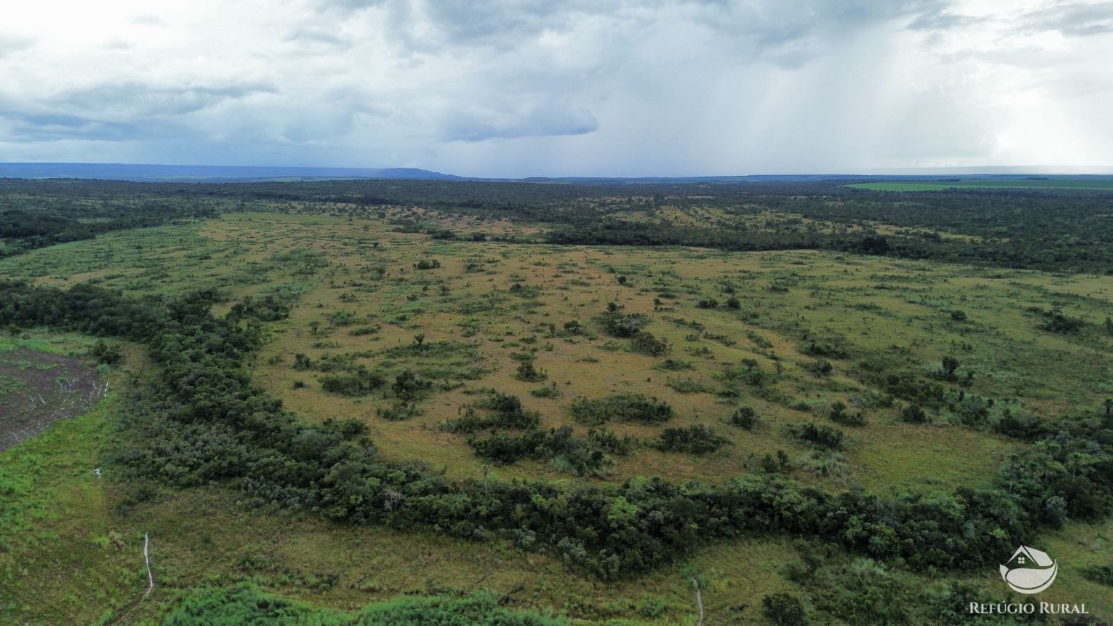 Fazenda à venda com 1 quarto, 11000000m² - Foto 12