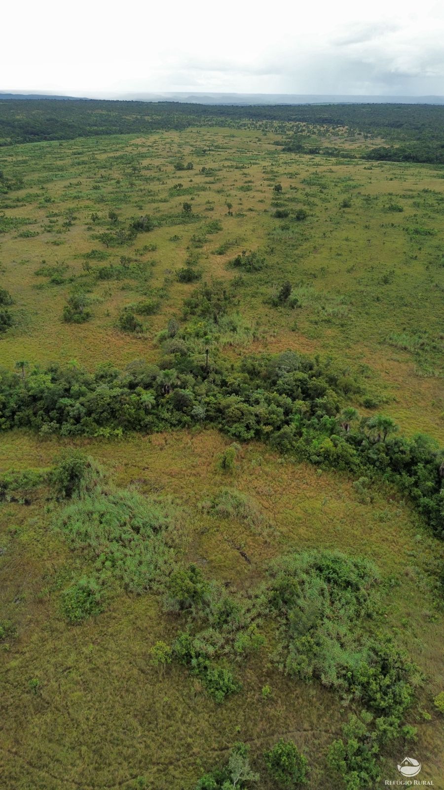 Fazenda à venda com 1 quarto, 11000000m² - Foto 15