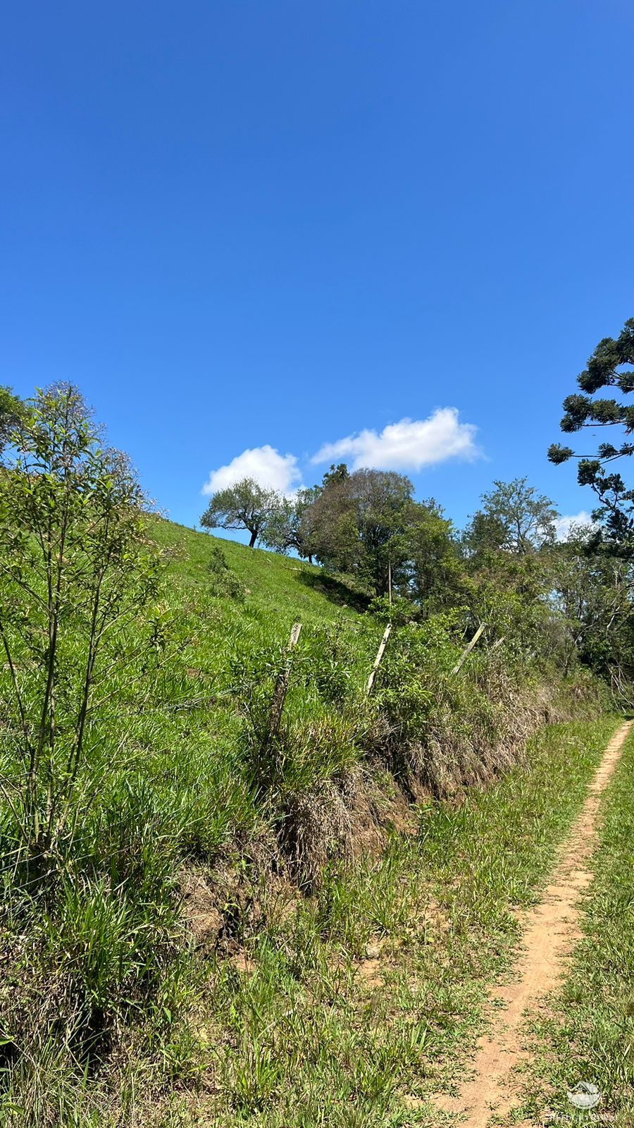 Terreno à venda, 29464m² - Foto 17