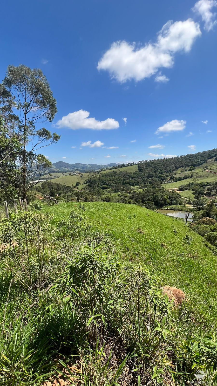 Terreno à venda, 29464m² - Foto 2