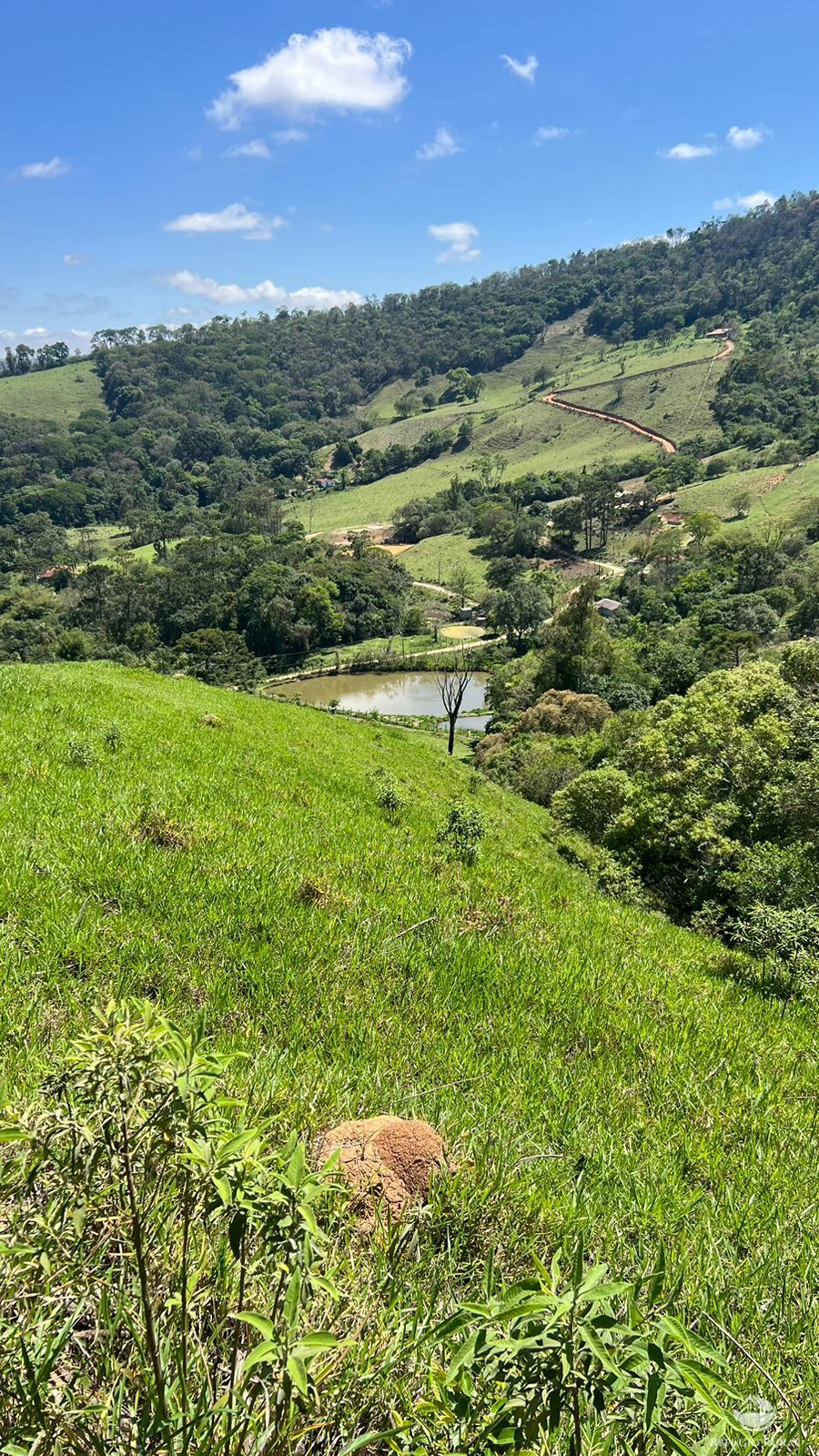 Terreno à venda, 29464m² - Foto 3