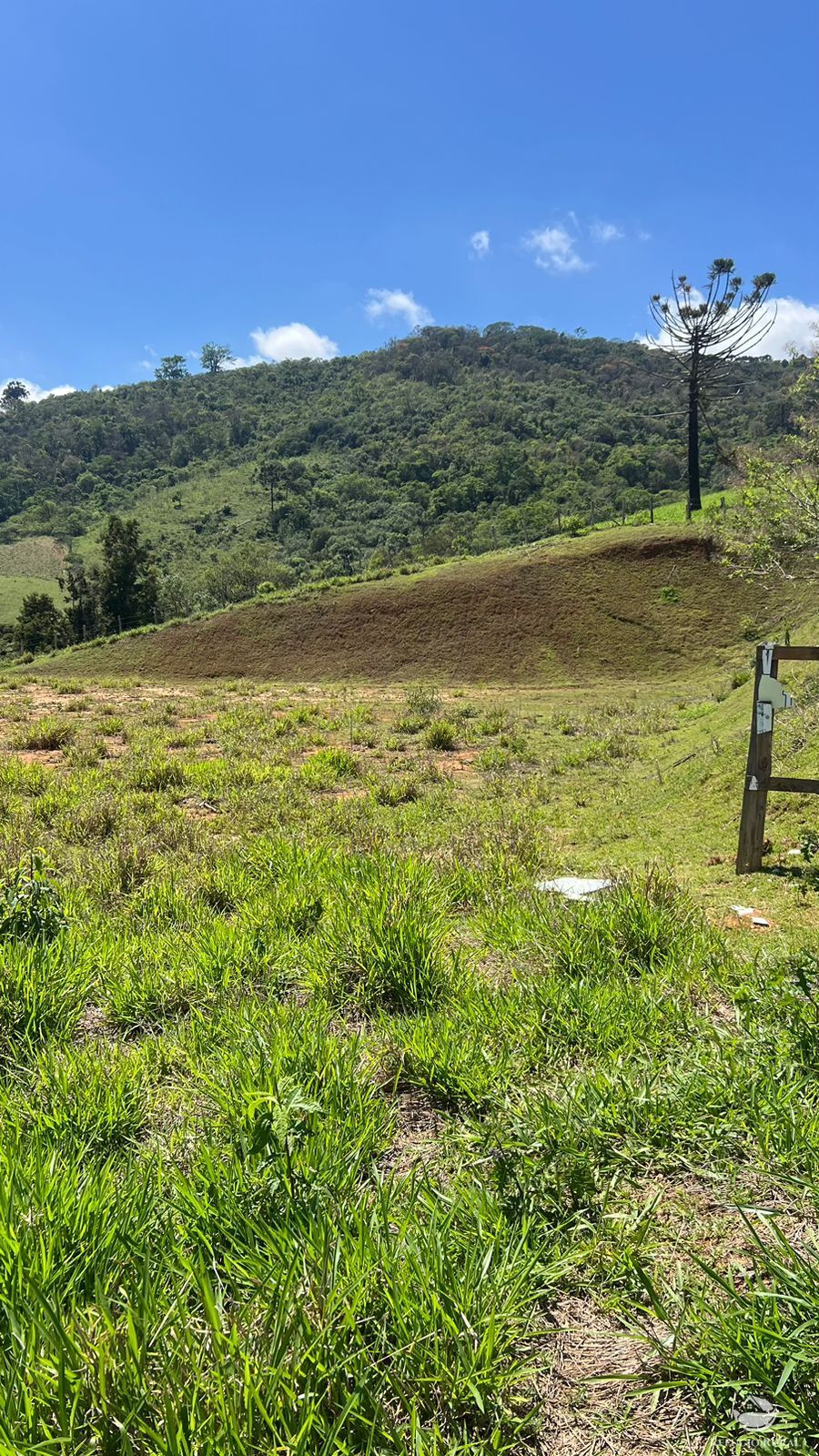 Terreno à venda, 29464m² - Foto 10