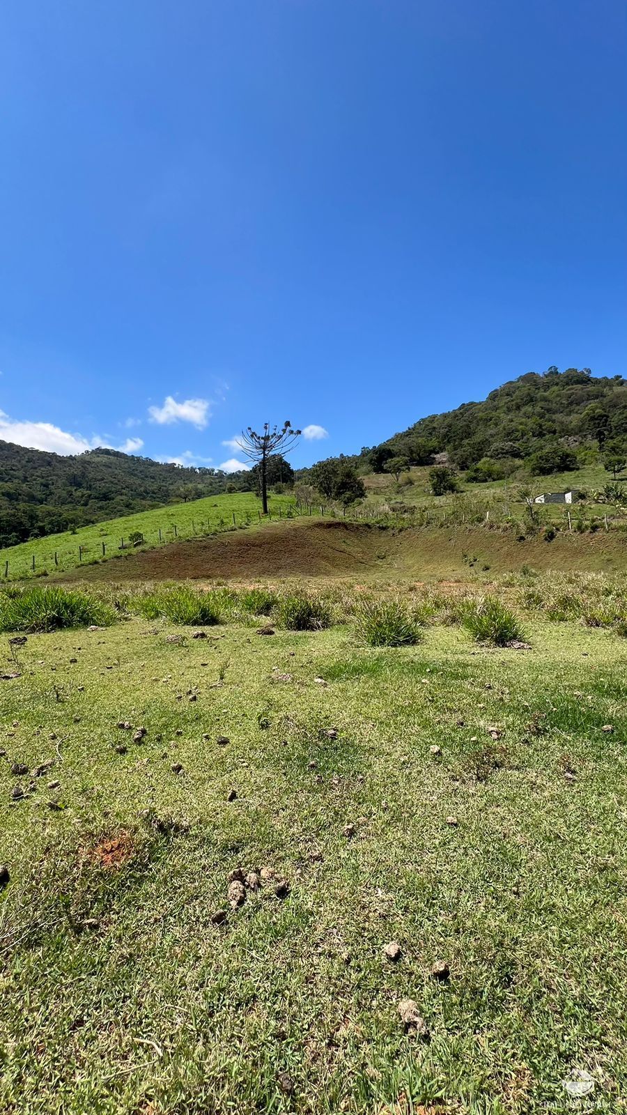 Terreno à venda, 29464m² - Foto 12