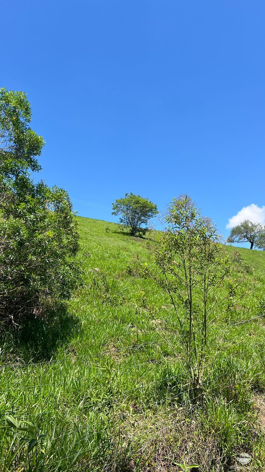 Terreno à venda, 29464m² - Foto 16