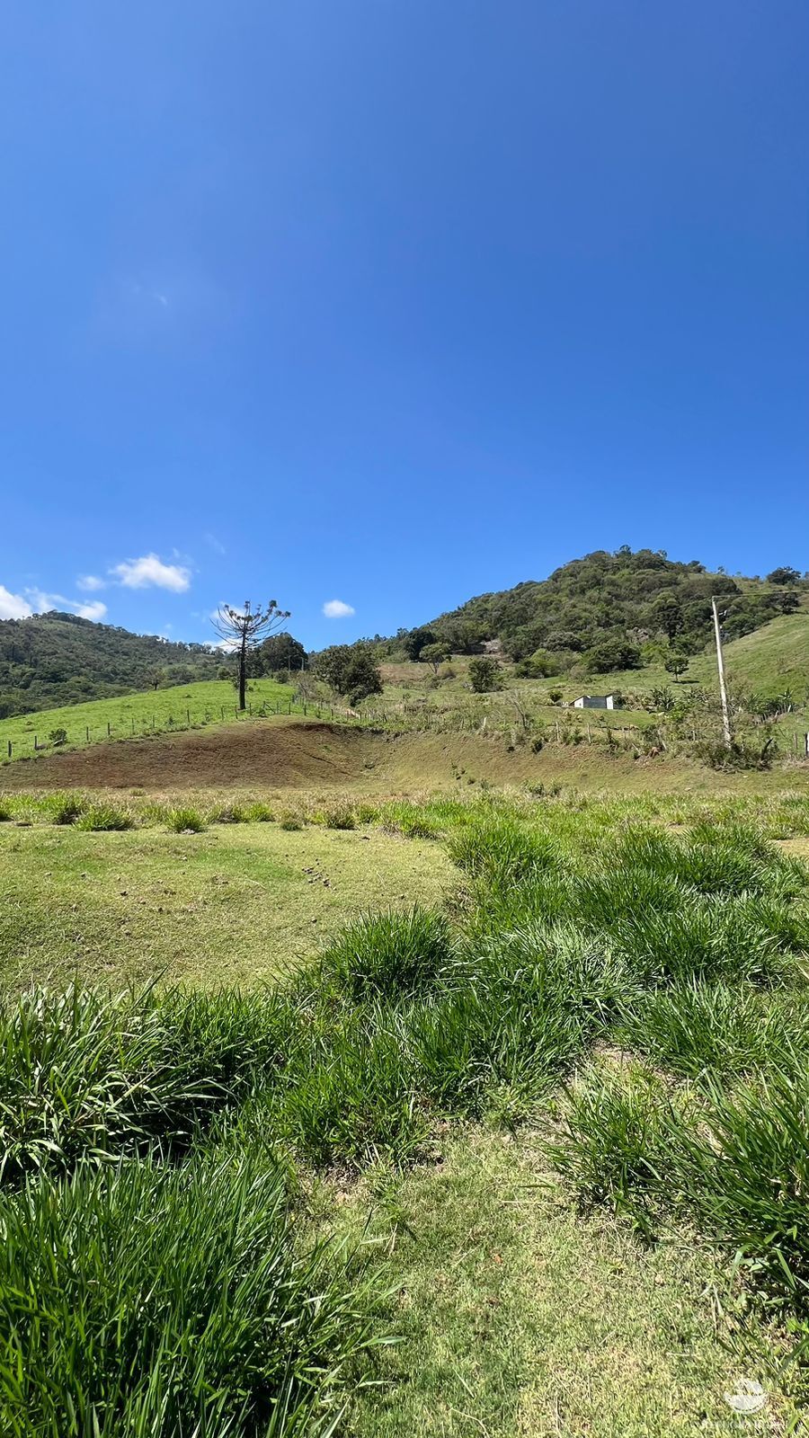 Terreno à venda, 29464m² - Foto 5