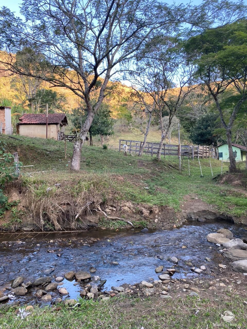 Fazenda à venda com 1 quarto, 84700m² - Foto 1