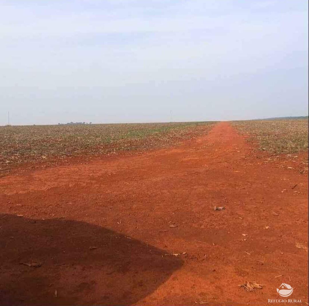 Fazenda à venda com 3 quartos, 36900000m² - Foto 6