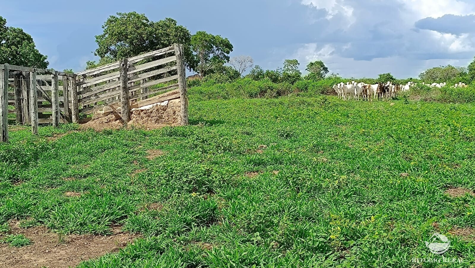 Fazenda à venda com 1 quarto, 4840000m² - Foto 2