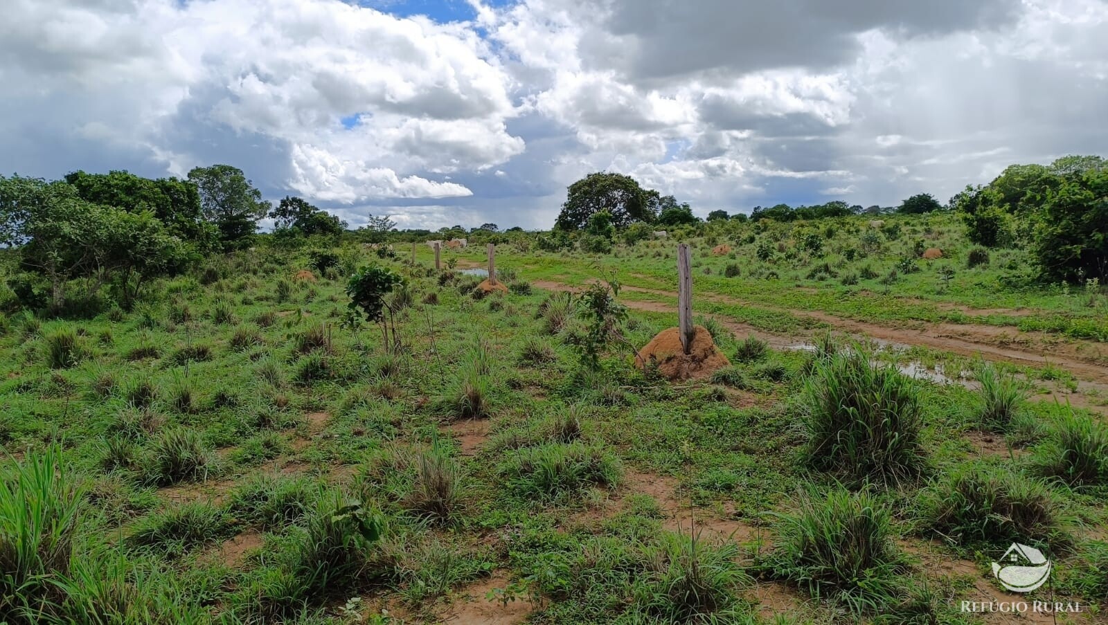 Fazenda à venda com 1 quarto, 4840000m² - Foto 15