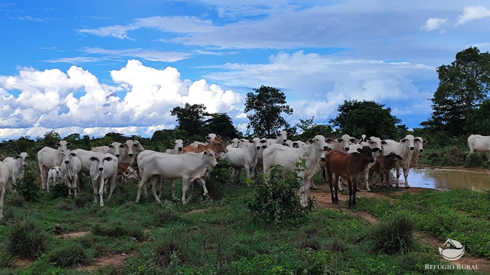 Fazenda à venda com 1 quarto, 4840000m² - Foto 4