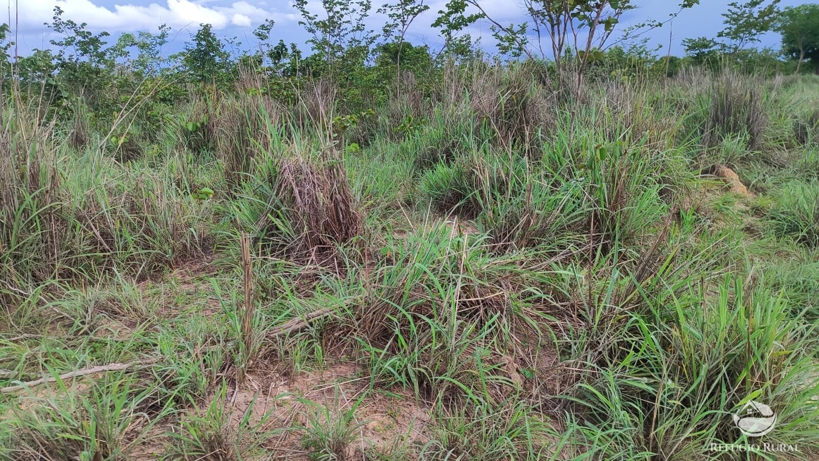 Fazenda à venda com 1 quarto, 4840000m² - Foto 6