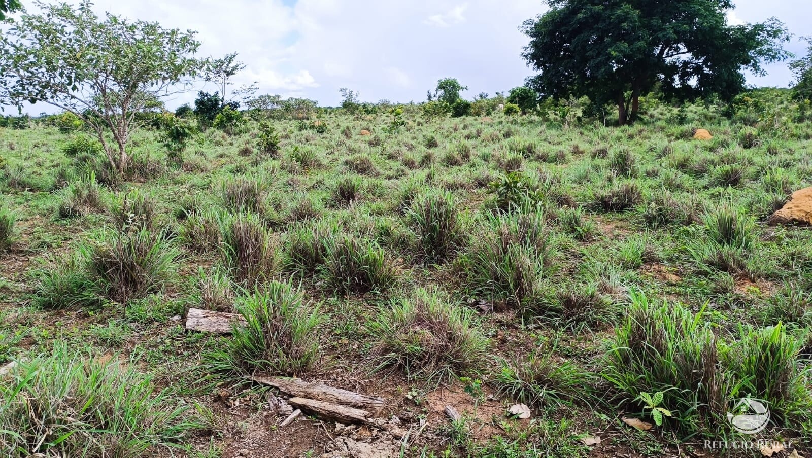 Fazenda à venda com 1 quarto, 4840000m² - Foto 12