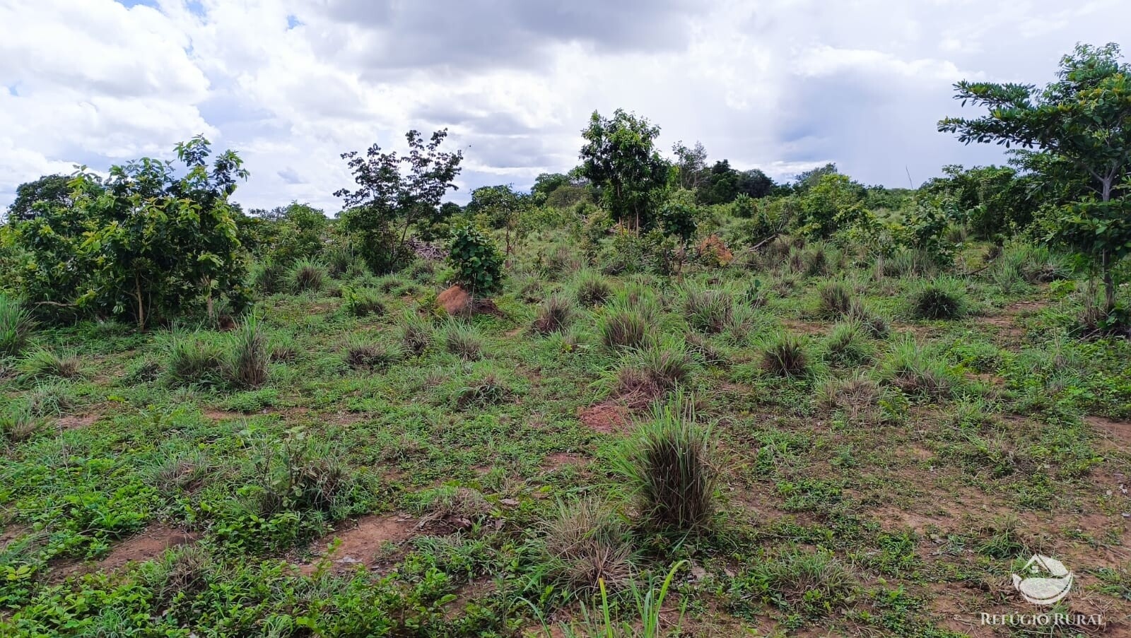 Fazenda à venda com 1 quarto, 4840000m² - Foto 22