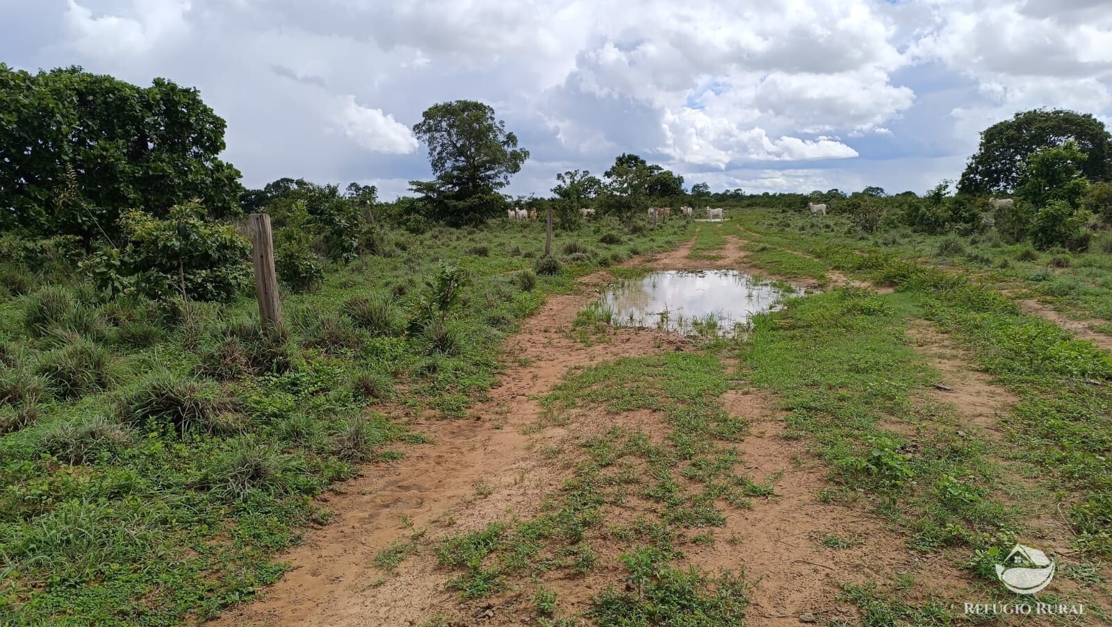 Fazenda à venda com 1 quarto, 4840000m² - Foto 18