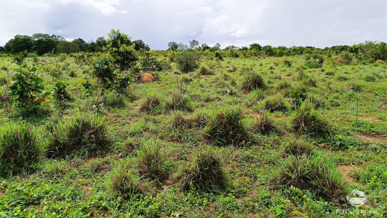 Fazenda à venda com 1 quarto, 4840000m² - Foto 14