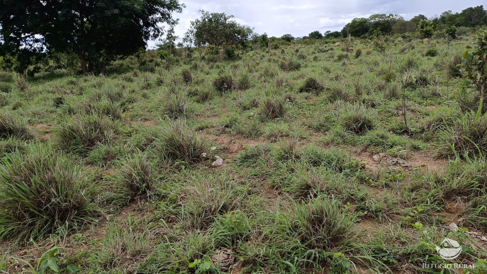 Fazenda à venda com 1 quarto, 4840000m² - Foto 21