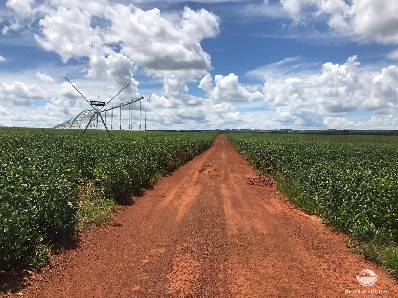 Fazenda à venda com 2 quartos, 11100000m² - Foto 3