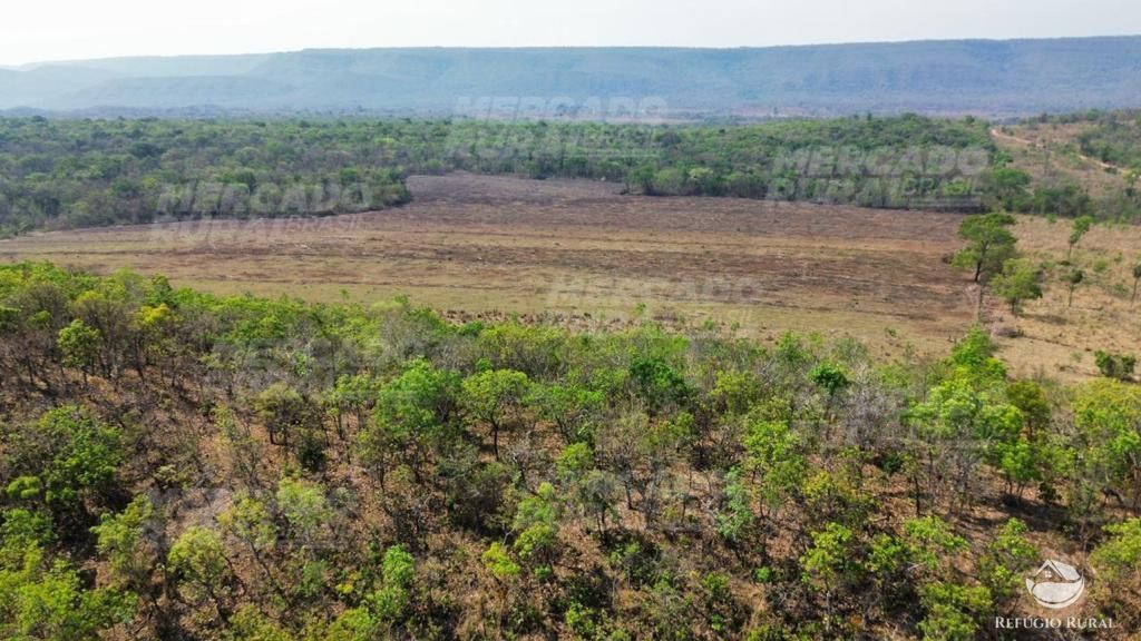 Fazenda à venda com 1 quarto, 15900000m² - Foto 15