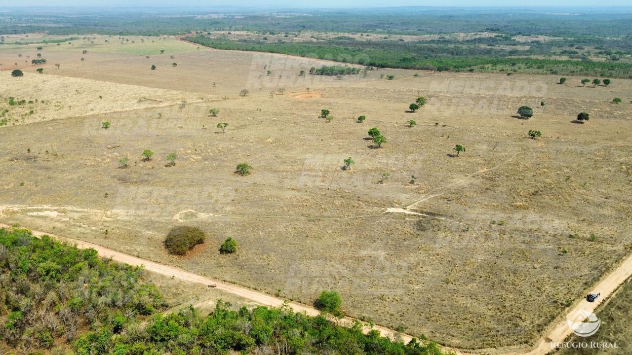 Fazenda à venda com 1 quarto, 15900000m² - Foto 17