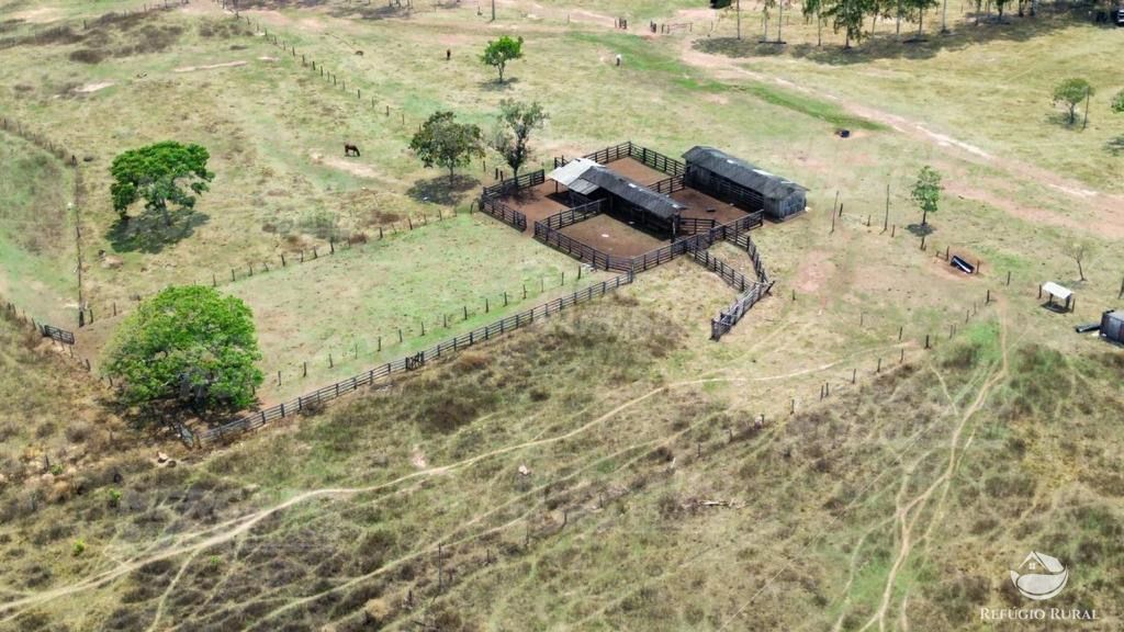 Fazenda à venda com 1 quarto, 15900000m² - Foto 4