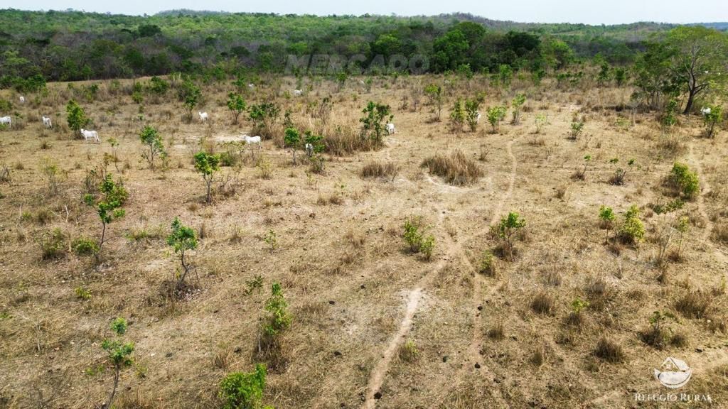 Fazenda à venda com 1 quarto, 15900000m² - Foto 11