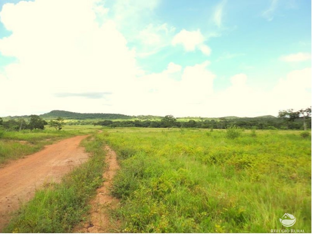 Fazenda à venda com 1 quarto, 15900000m² - Foto 6