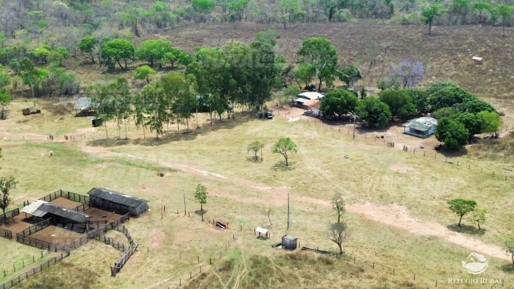 Fazenda à venda com 1 quarto, 15900000m² - Foto 3