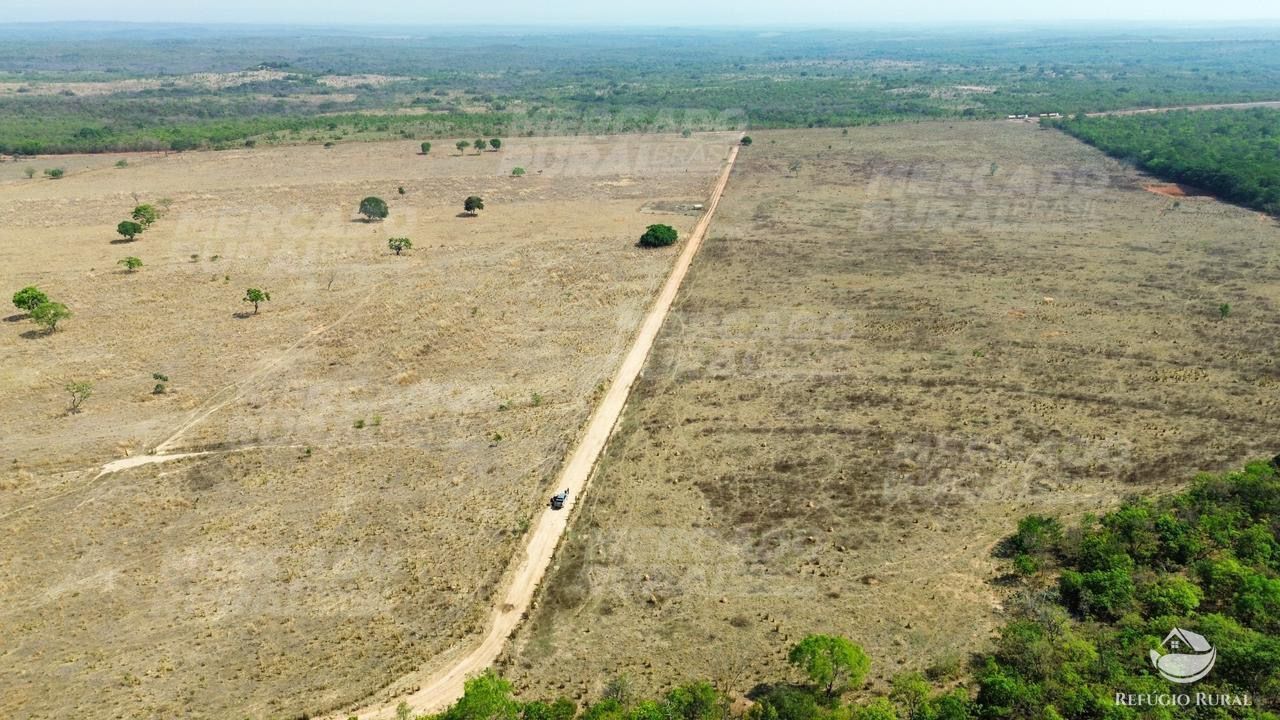 Fazenda à venda com 1 quarto, 15900000m² - Foto 16