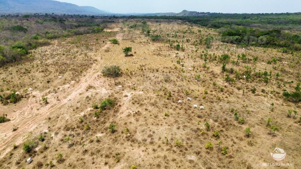 Fazenda à venda com 1 quarto, 15900000m² - Foto 14