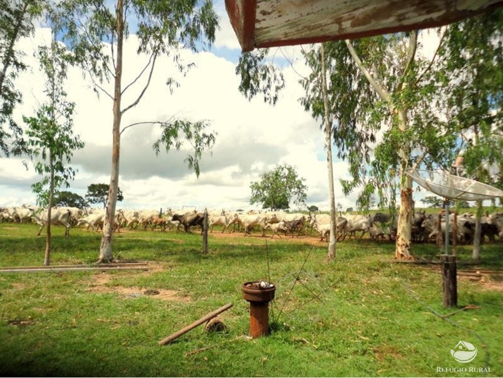 Fazenda à venda com 1 quarto, 15900000m² - Foto 2