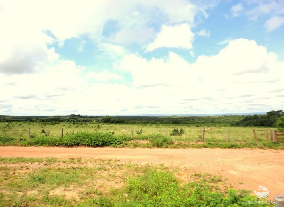 Fazenda à venda com 1 quarto, 15900000m² - Foto 5