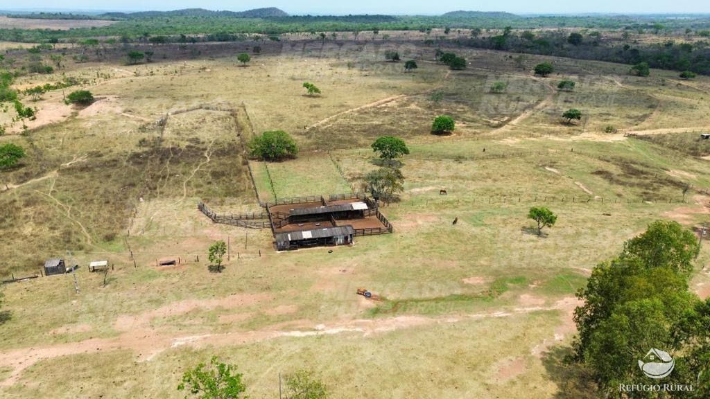 Fazenda à venda com 1 quarto, 15900000m² - Foto 8