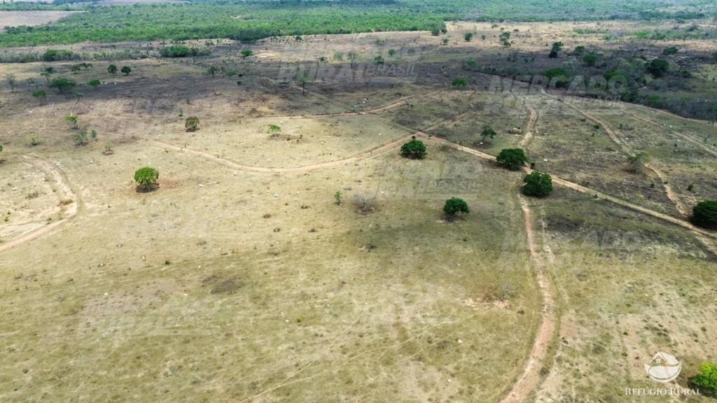 Fazenda à venda com 1 quarto, 15900000m² - Foto 7