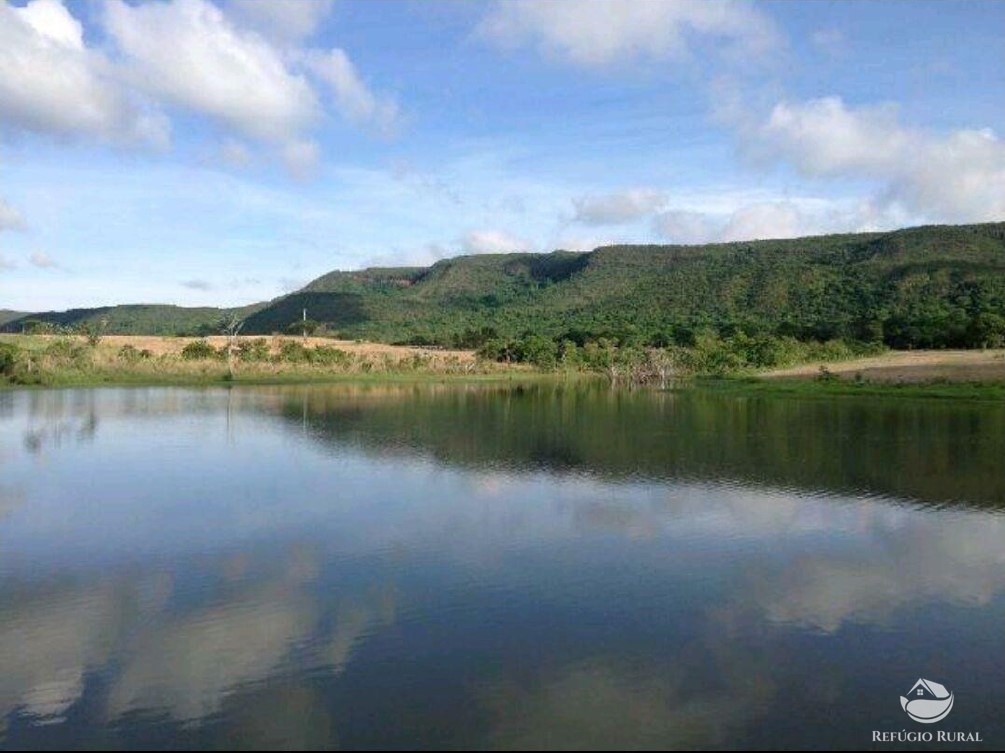 Fazenda à venda com 1 quarto, 15900000m² - Foto 1