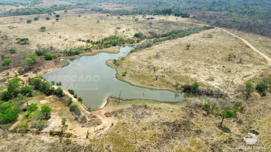 Fazenda à venda com 1 quarto, 15900000m² - Foto 12